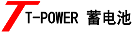 T-POWER蓄电池-耐康蓄电池营销中心